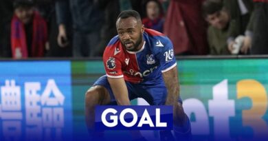 Ayew scores for Palace