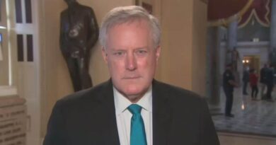 Mark Meadows Lies About Trump Extending Unemployment Benefits With Executive Order