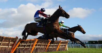 Paisley Park ridden by Aidan Coleman