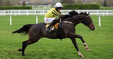 Burdett Road wins at Cheltenham for James Owen under Harry Cobden