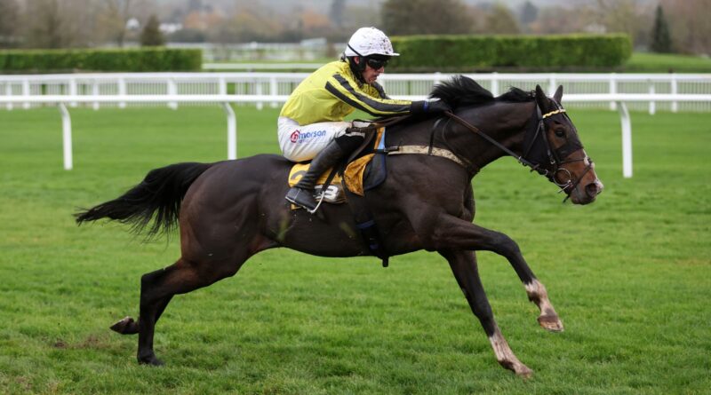 Burdett Road wins at Cheltenham for James Owen under Harry Cobden