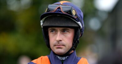 Nico de Boinville will miss his rides on Friday and Saturday after being injured in a fall at Nicky Henderson's yard