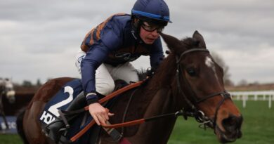 Djelo ridden by Charlie Deutsch go on to win The Howden Noel Novices' Chase on day one of the Howden Christmas Racing Weekend at Ascot