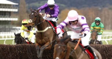 Fugitif and Gavin Sheehan jump the last behind Il Ridoto for Bryony Frost