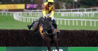 Galopin Des Champs wins at Leopardstown under Paul Townend