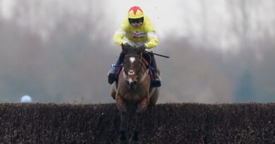 Harry Cobden and Hermes Allen clear a fence in the John Francome at Newbury