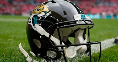 Jacksonville Jaguars former financial manager pleads guilty to $22m theft, faces up to 30 years in prison