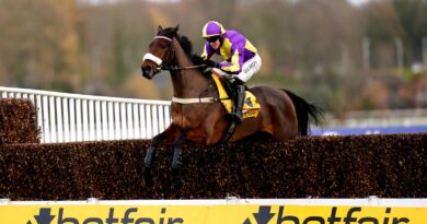 Le Patron jumps the last in the Henry VIII Novices Chase at Sandown