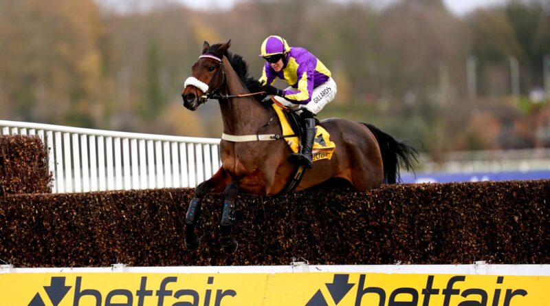 Le Patron jumps the last in the Henry VIII Novices Chase at Sandown