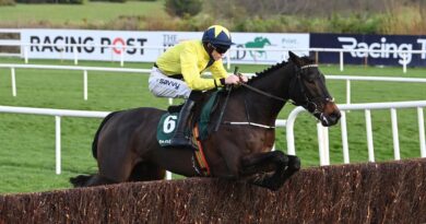 Marine Nationale and Michael O'Sullivan win the Paddy Power Beginners Steeplechase at Leopardstown