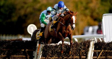 Not So Sleepy jumps clear in the Fighting Fifth Hurdle at Sandown