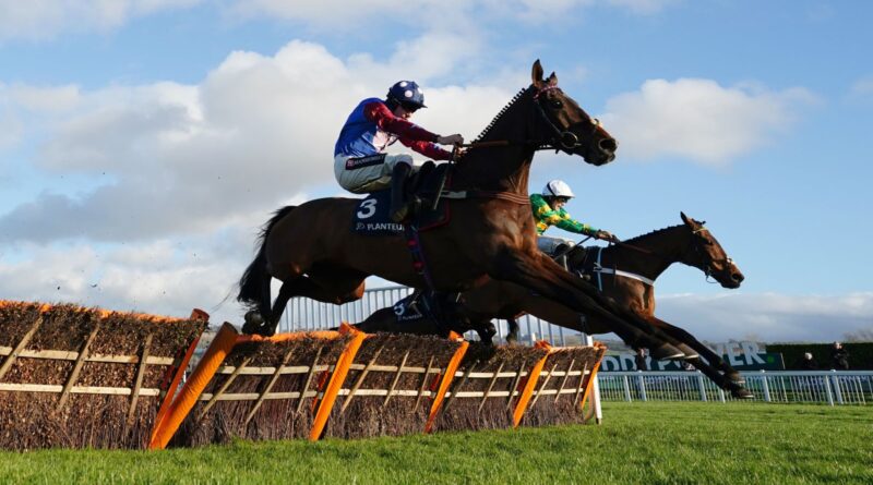 Today on Sky Sports Racing: Ascot stages top-quality meeting with Newcastle and Lingfield also live on Saturday