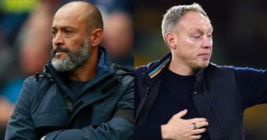 Nuno Espirito Santo and Steve Cooper - AP Photo/PA