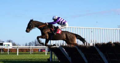 Rare Edition impressed in victory at Kempton on Boxing Day