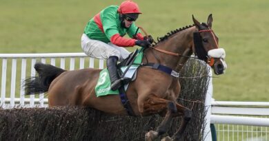 David Bass riding Two For Gold clears the last to win The Paddy Power Warwick Castle Handicap Chase at Warwick