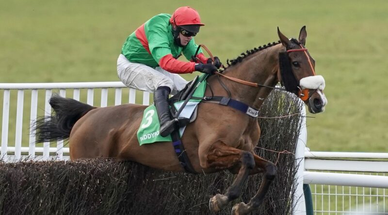 David Bass riding Two For Gold clears the last to win The Paddy Power Warwick Castle Handicap Chase at Warwick