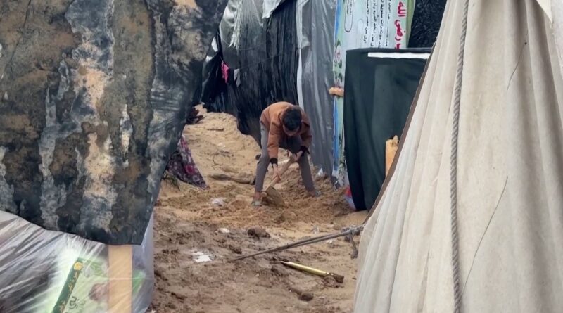 Torrential rains in Gaza bring flooding and disease to displaced population