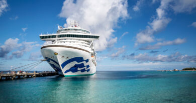 11 extra charges on cruise ships that will drive you nuts — and what to do about them - The Points Guy