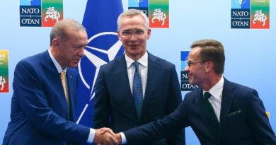 Turkey votes in favor of Sweden’s NATO membership after months of delay