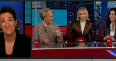 E. Jean Carroll calls Donald Trump nothing during interview with Rachel Maddow.