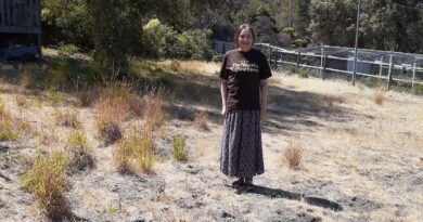 Her dried-up yard won an ‘Ugliest Lawn’ award. She hopes it inspires others.