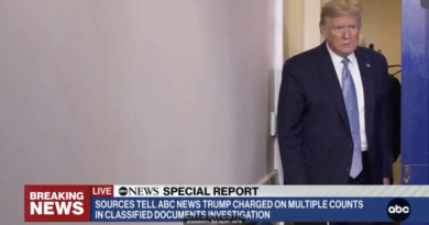 Donald Trump, ABC screengrab