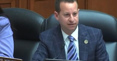 Rep. Jared Moskowitz speaks at House Oversight Committee border hearing.