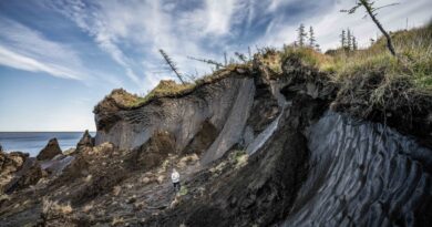 Siberia’s ice is melting, revealing its past and endangering its future