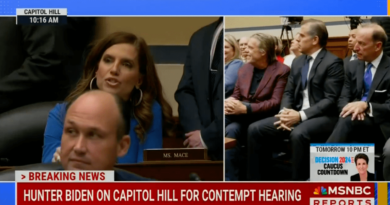 Rep. Nancy Mace (R-SC) yells about Hunter Biden's balls during a House hearing