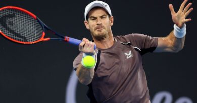 Brisbane International: Andy Murray falls to Grigor Dimitrov in his first match of the year despite strong start