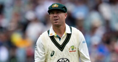 David Warner was out for 34 on day two in what will likely be his penultimate Test innings.