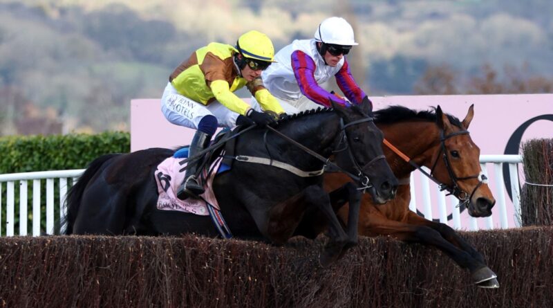 Galopin Des Champs and Bravemansgame jump the last together in the Cheltenham Gold Cup