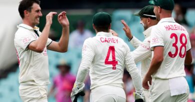 Australia vs Pakistan: Pat Cummins takes latest five-wicket haul as David Warner's final Test begins