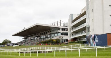 Sandown Park general view