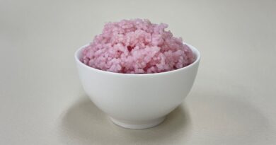 What a lab-made meat-rice hybrid says about the future of food