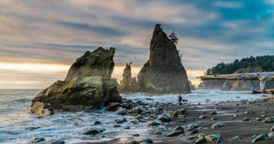 Man on Rialto Beach, Forks, Washington, USA.