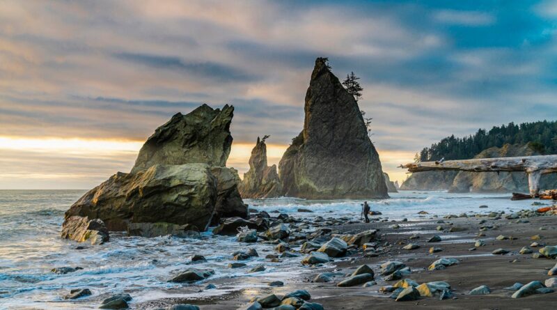 Man on Rialto Beach, Forks, Washington, USA.