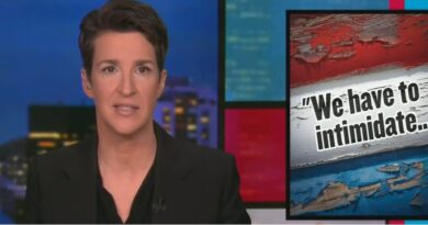 Rachel Maddow talks about the 2024 Democratic message