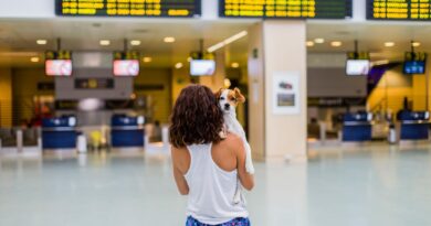 traveler woman and her dog at the airport. information screens background. travel and transportation with technology concept.