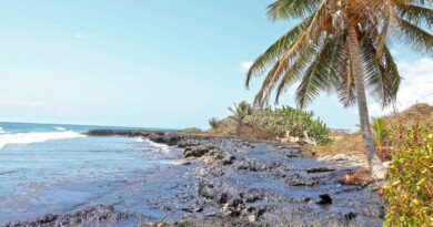 Caribbean oil spill blackens beaches, but mystery apparently cleared up