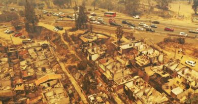 Deadly wildfires kill more than 40 in Chile