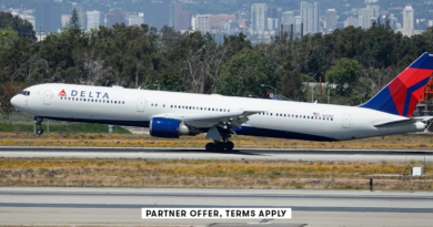 Delta SkyMiles Platinum Business Amex card review: Full details - The Points Guy