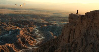 Woman standing on Font's Point looking at hot air balloons flying over badlands, Anza-Borrego Desert State Park, California, USA