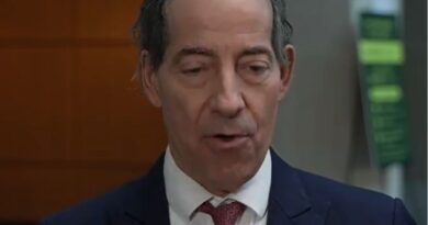 Jamie Raskin speaks to reporters about Biden impeachment.