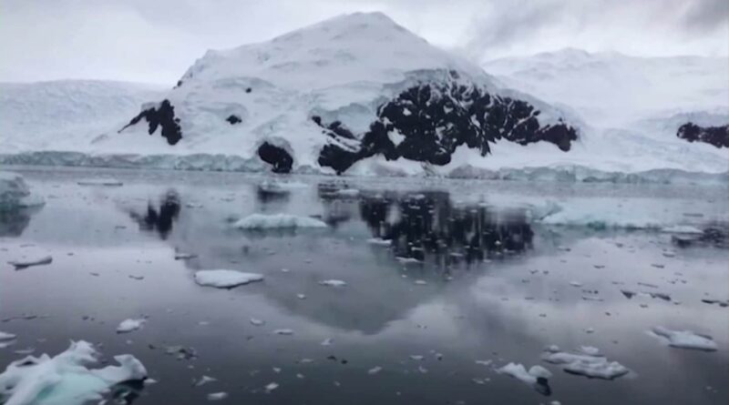 Antarctica was one of the few places without bird flu. Not anymore.