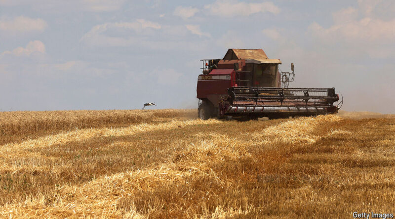 How Ukrainian farmers are using the cover of war to escape taxes