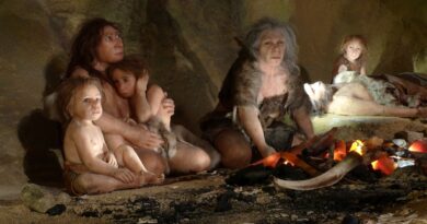 Neanderthal community cared for child with Down syndrome, fossil suggests