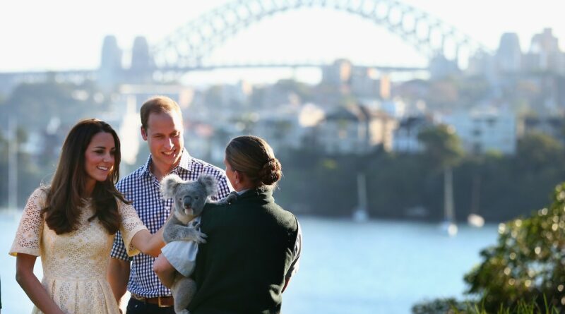 Is it cruel to cuddle a koala? Sanctuary stops hugs amid debate.