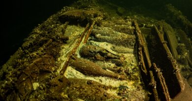 Divers discover 19th-century shipwreck laden with 100 champagne bottles