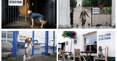 It’s U.K. election day: A trash can is running, and dogs are everywhere